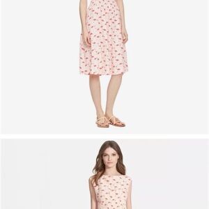 Kate Spade Flamingo Dress size 6
